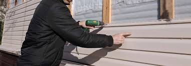 Best Vinyl Siding Installation  in Kincaid, IL